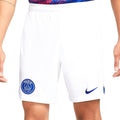 NIKE Pantaloni scurti barbati