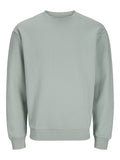 JACK & JONES Bluza sport Bradley barbati