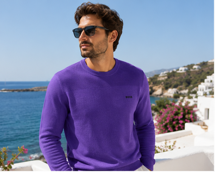 BOSS  Momentum-X_CN Pulover Bărbați Mov (Purple) Regular Fit