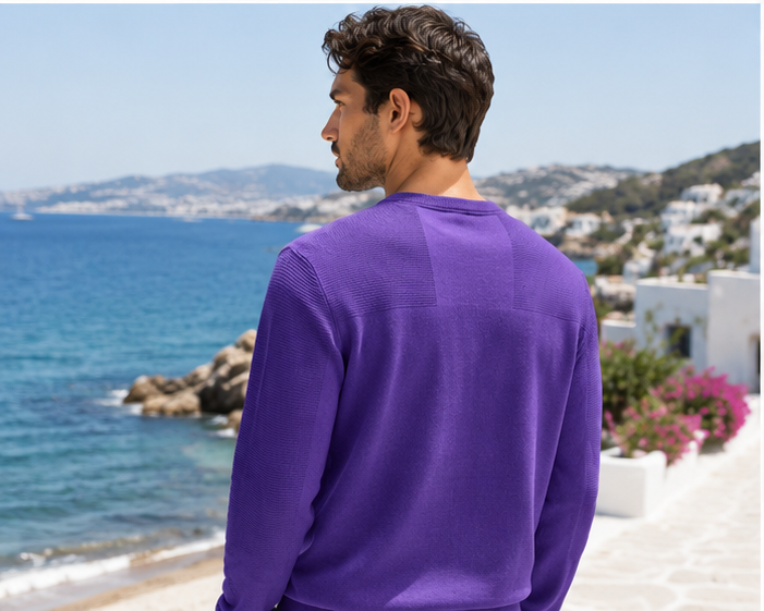 BOSS  Momentum-X_CN Pulover Bărbați Mov (Purple) Regular Fit